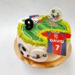 Fotbalovy dort hriste